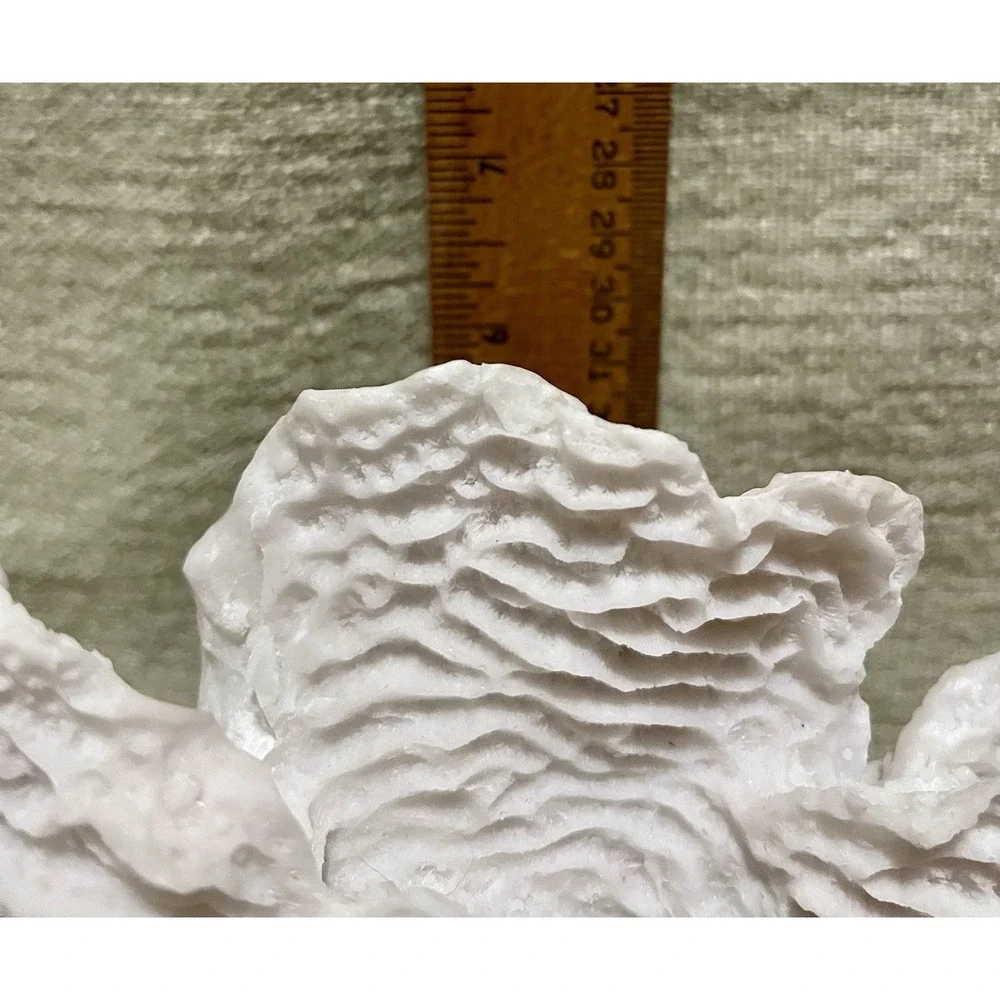 Faux White 9